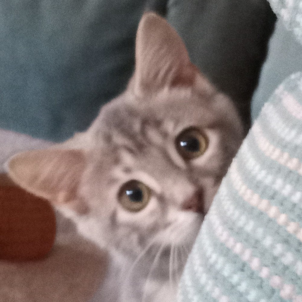 Meet your Posher, Sky